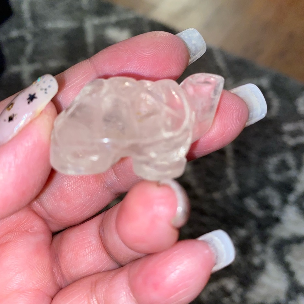 Clear Quartz Turtle Crystal